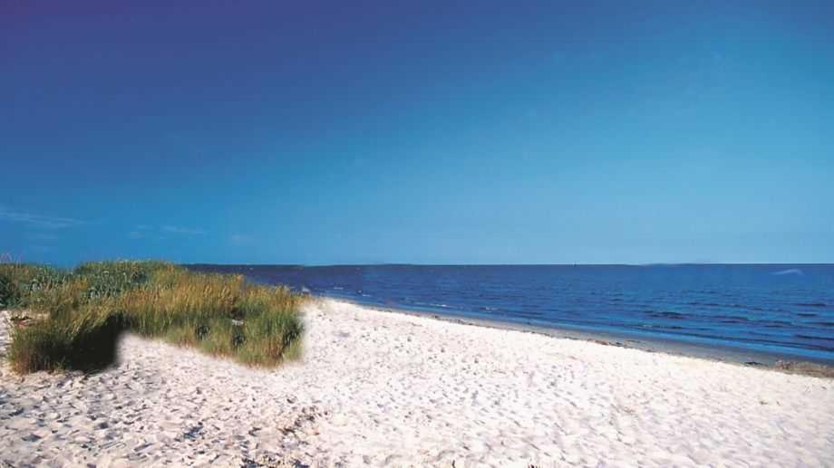Апартаменты Witte Huus 75M_ Und 51M_ Ferienwoh Хокзиль Экстерьер фото